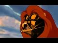 Understanding the Circle of Life