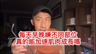 【楷教練直播精華】一天練幾次才是黃金頻率？從數據、科學到阿諾經驗，打破你對訓練的誤解！