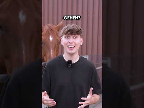 Mädchen ansprechen in 50 Jahren 😂