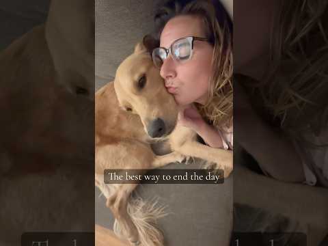 Only dog owners know this feeling 🐶❤️#dog #dogs #love #foryou #fyp