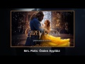 Understanding the Story of Love