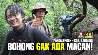 Pendakian Gunung Malabar via Cinyiruan - PART 2 [FREE GPX] | RTE #53