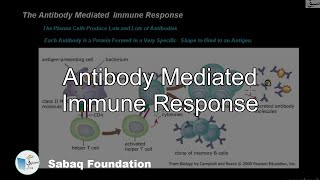 Antibody Mediated Immune Response