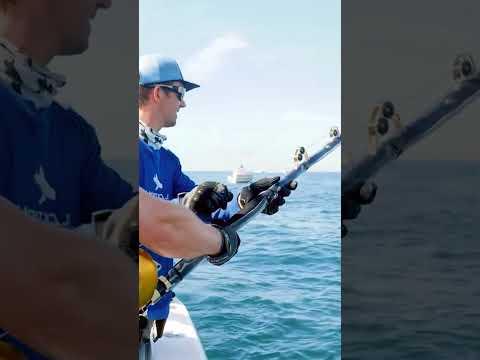 Pescando Monstruos marinos #fishing #pesca #extremefishing