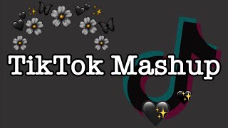 TikTok Mashup February 2022 (not clean)