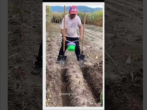 Understanding Basic Agricultural Tools