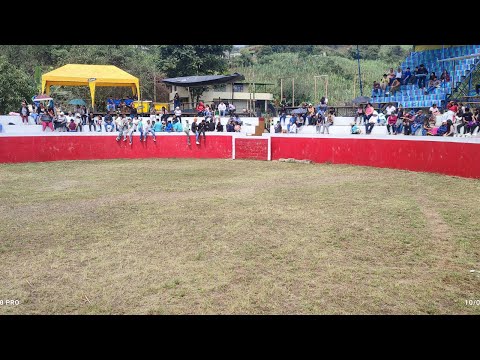 Fiestas de Cotopaxi Pangua El Corazón 2024