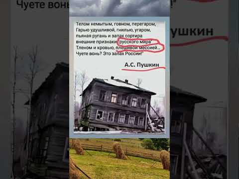 Пушкін про вонючу росію#шортс #війнаукраїна #історія #history #история #ukraine #славазсу