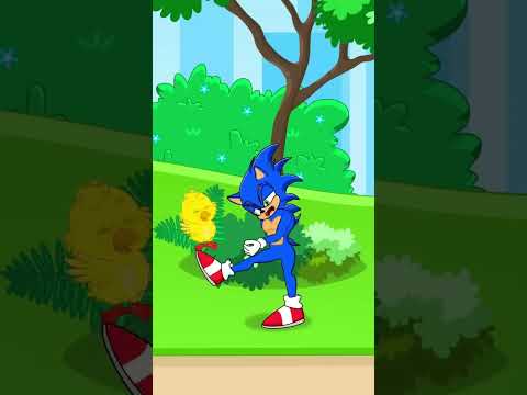 Sonic Gf VS Chick - Meme Coffin Dance #shorts