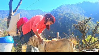 आज बहुत दिनों बाद स्टफी को नहलाया 🐕 🥰 