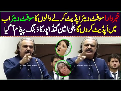 Ab Inn Ke Software Mein Update Karun Ga Ali Ameen Gandapur Big Statement | Software Update Statement