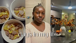 VLOG: A Few Days In My Life, Relaxing My Hair, Fall Decor Shopping, Dinner Shopping, and more