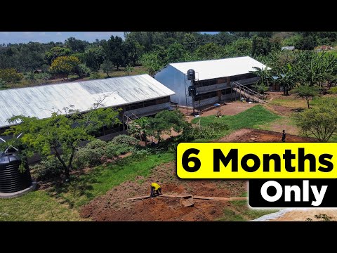 How to Start a Profitable Farm in 6 MONTHS ONLY