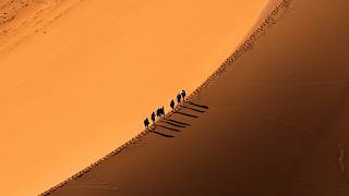 The Sahara Desert Expedition That Was Mercilessly Hunted