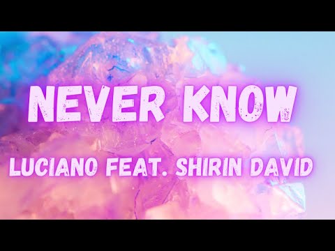 Luciano feat. Shirin David - Never Know (lyrics)