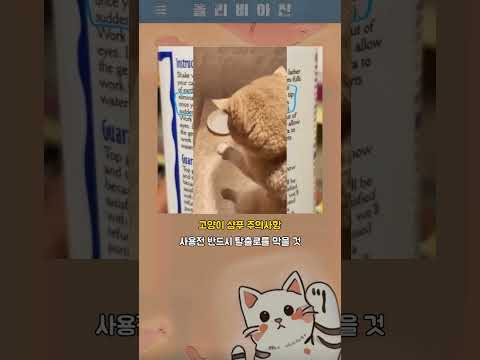 올리비아진 웃짤 604