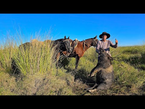 CAZA DE CHANCHOS, Y AVENTURA BIEN CAMPERA EN CORRIENTES 🐎🐖