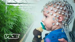 大麻は自閉症の子どもに効果があるのか？｜WEEDIQUETTE
