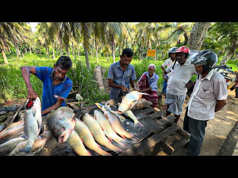 Unseen!! Inside SriLanka's Biggest Catla & RohuFish Market Witness The Action|REAL Life Of Fisherman