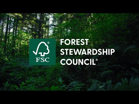 Milestone achieved with Eastern Africa’s First Forest Stewardship Council® (FSC®) Ecosystem Services Claim