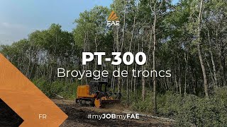 Video - FAE PT-300 - Automoteur sur chenilles avec broyeur forestier ouvre la voie à une ligne électrique