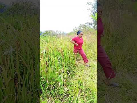 enaknya di kebun #comedy