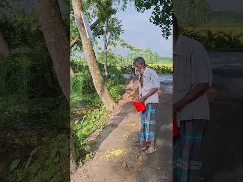 চাচা দোকান খোলার আগে পাখিদের খেতে দেয় #shorts