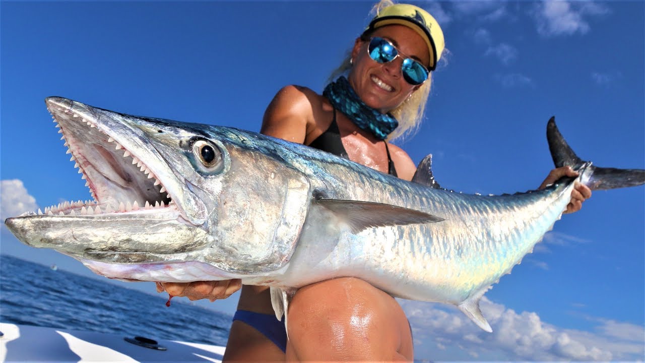 Slow Trolling for MONSTER KINGFISH Deep Sea Fishing
