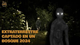Extraterrestre captado en un bosque 2024