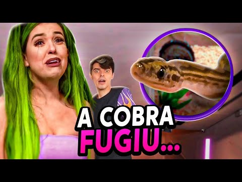 A COBRA DA FUNBABE FUGIU E DEIXOU TODOS EM PÂNICO! | FINAL LEVEL