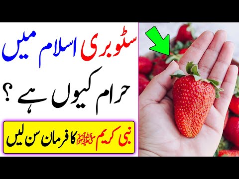 Strobbery Islam Mein Haram Hai Kya ? || Strawberry Ke Fayde