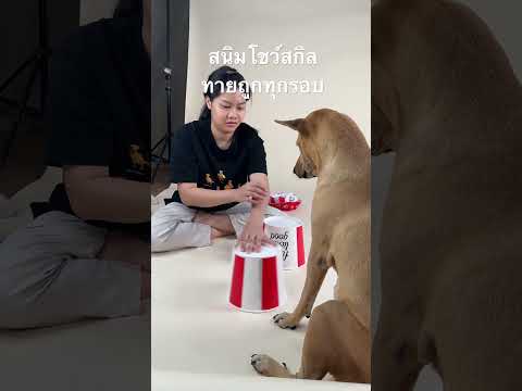 เบื้องหลังกองถ่าย