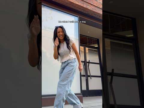 When I see a dog on the street