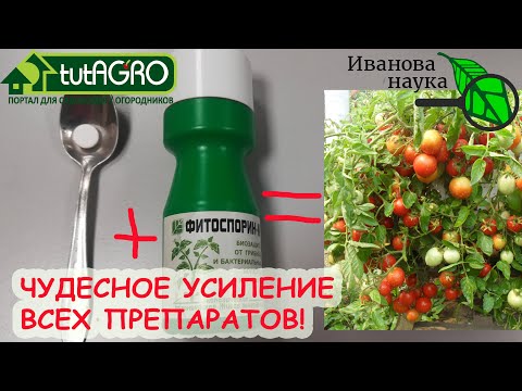 Усильте любой препарат в 10 раз (а то и больше! Научный метод!