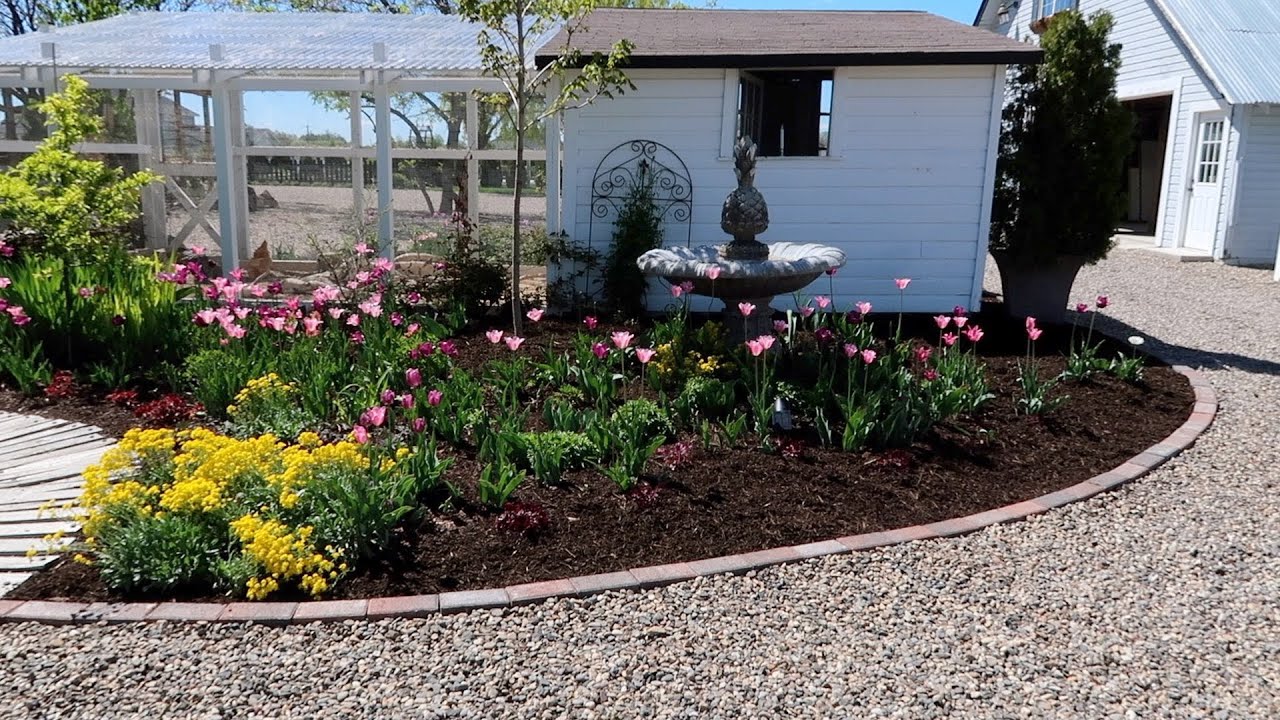 Edging a Flower Bed w/ Bricks and Planting a Maple Tree!