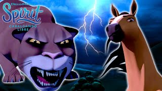 Lucky y el puma | SPIRIT CABALGANDO LIBRE