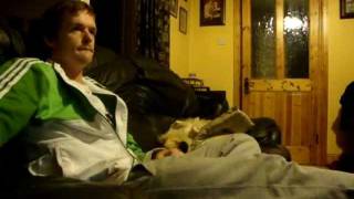 Halloween Prank on dogs