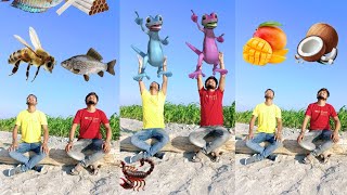 Two brothers eating food and cute dancing frog catching funny live video by vfx Dipankar