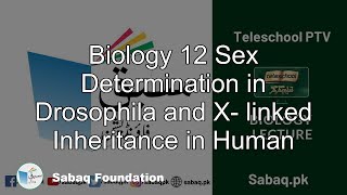 Biology 12 Sex Determination in Drosophila and X- linked Inheritance in Human