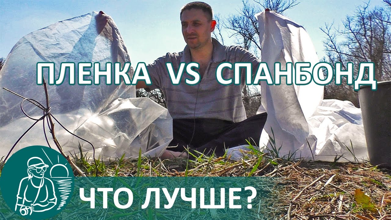 Выращивание рассады что лучше: спанбонд или пленка для парников по технологии гордеевых