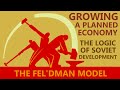 Critiques of the Feldman Model