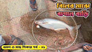 বিলের মাঝে বাগান বাড়ি ও মাছ শিকার পর্ব - ০১ #primitivefishingbyakib