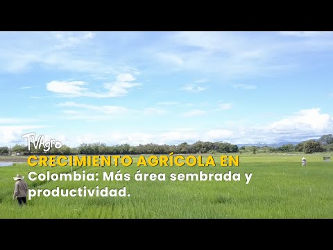 YouTube video thumbnail: Agricultural Growth in Colombia: More Planted Area and Productivity