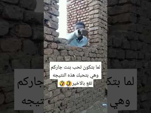 لما بتكون تحب بنت جاركم وهي بتحبك هذه النتيجه تقع بالاخير🤣🤣 #اضحك #اكسبلور #دويتو #تيك