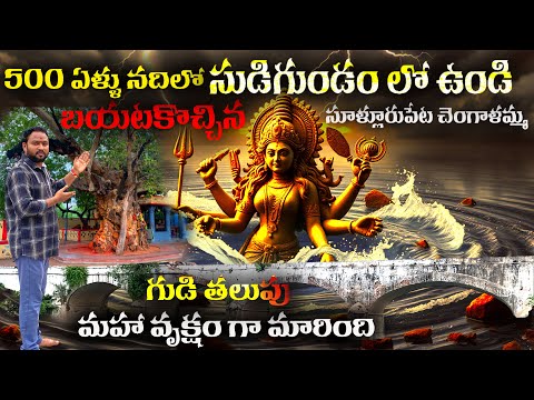 సూళ్లురుపేట చెంగాళమ్మ ఆలయం తలుపులు మహా వృక్షంగా మారిన అద్భుతం