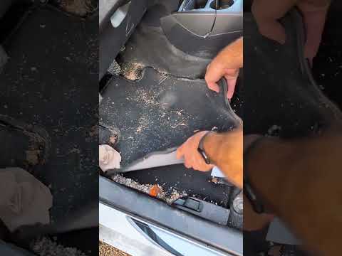 Cleaning car