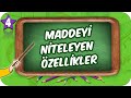 Maddenin Özellikleri ve Davranışları