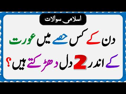 Islamic Common Sense Paheliyan in Urdu | Riddles in Hindi | Islamic General Knowledge Quiz Test #048