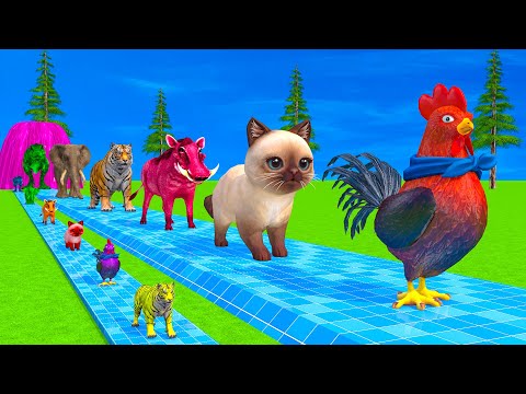Long Slide Game With Elephant Gorilla Buffalo Hippopotamus Tiger - 3d Animal Game - Funny 3d Animals