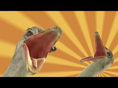 [SFM] Beach Berd